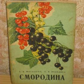 А.В.Мосолова и Е.В.Володина - Смородина, изд. 1970 год, Лениздат