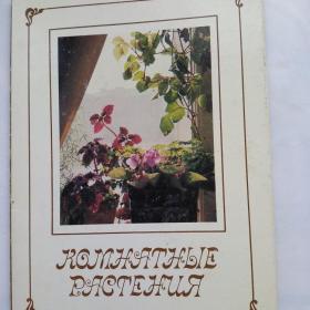 Набор открыток Комнатные растения, выпуск 2, 1986г