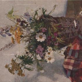 Открытка советская "Полевые цветы", 1957 г.