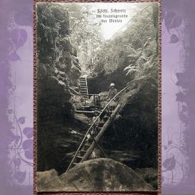 Антикварная открытка "Саксонская Швейцария. Каньон Дьявола у Вехлена". Германия