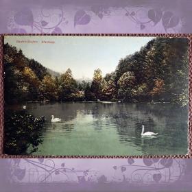 Антикварная открытка "Баден-Баден. Лесное озеро"