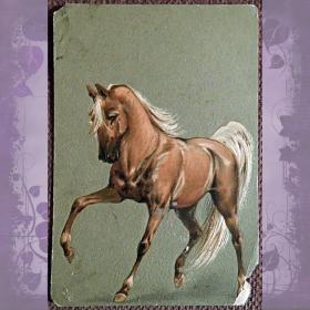 Старинная открытка "Конь"
