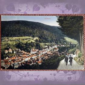 Антикварная открытка "Видбад". Германия