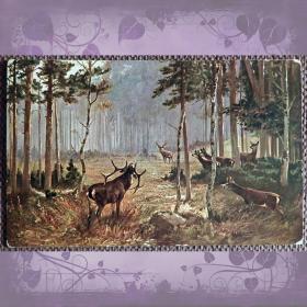 Антикварная открытка "Олени в лесу. Встреча соперников"