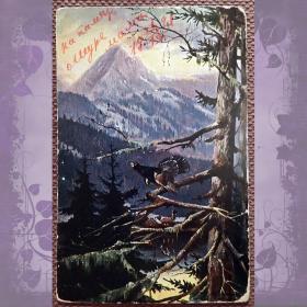 Антикварная открытка "Глухарь на дереве. На току"