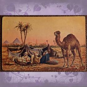 Антикварная открытка "Бедуины возле пирамид"