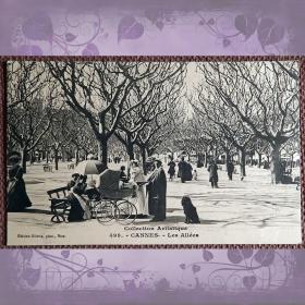 Антикварная открытка "Канны. Аллеи". Франция