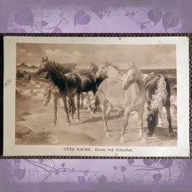 Антикварная открытка. Отто Бахе "Лошади на пляже"