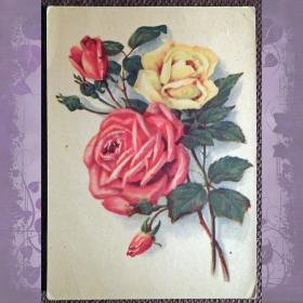 Открытка "Розы". 1955 год