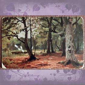 Антикварная открытка "В лесу"