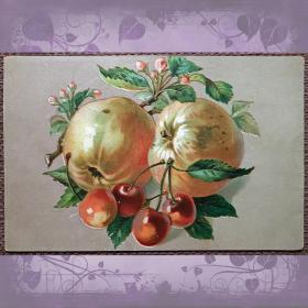 Антикварная открытка "Яблоки с вишнями"