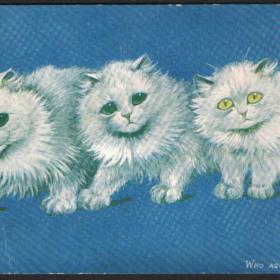 Старинная почтовая карточка с котятами. 