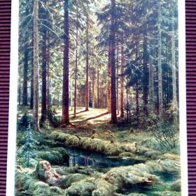 Хвойный лес. Солнечный день. И.Шишкин. 1968 г.