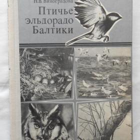 М. Е. Шумаков, Н. В. Виноградов – Птичье эльдорадо Балтики. 1979 год
