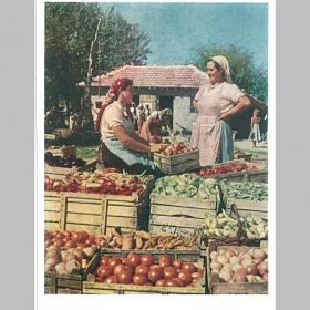 Открытка СССР. Болгария. Богатый урожай, фото Н. Козловского, 1957 год, чистая (болгарки)