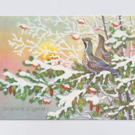 Открытка СССР Новый год 1989 Базаров чистая зима лес снег еловые ветки шишки птицы рябина рассвет