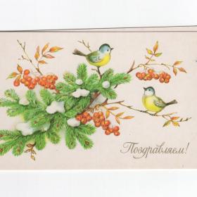 Открытка СССР Новый год 1986 Бодрихина чистая двойная детство новогодняя птицы ягоды синица ветка