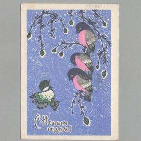 Открытка СССР Новый год 1970 Искринская подписана птицы снегири новогодняя ночь детство шишка елка