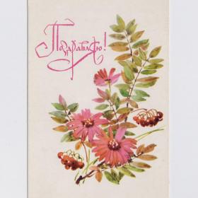 Открытка СССР Поздравляю 1974 Кирпичева чистая осенний букет цветы ягода рябина поздравительная