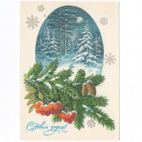 Открытка СССР Новый год 1986 Куртенко чистая новогодняя ночь зимний лес ягоды шишки еловая ветка