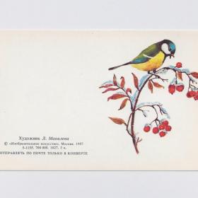 Открытка СССР мини Поздравляю 1987 Манилова чистая двойная не согнута синица ягоды птицы ветка зима