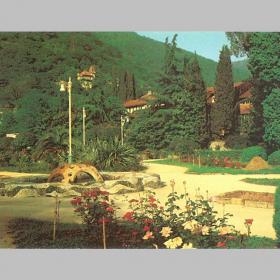 Открытка СССР. Гагра. Комсомольский парк. Фото В. Панова, 1988 г, чистая (маркированная)