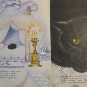 Белый дом и черный кот - веселые стихи польских поэтов ( пересказал Б.Заходер), изд. 1959 год, Детгиз.  См. фото.