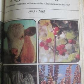 Приусадебное хозяйство - полная подборка приложения к журналу "Сельская жизнь", 1985 год