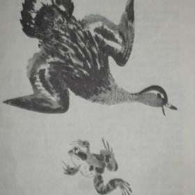 В.М.Гаршин - Лягушка-путешественница ( сказка), изд. 1976 год, Детская литература-Москва
