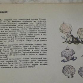 Справочник грибника, изд. 1973 год, Лениздат. Содержание см. фото.