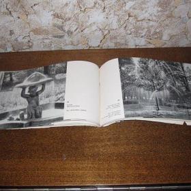   Альбом  "Петродворец", Гос.изд.изобразительного искусства, 1955 год