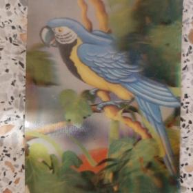 Календарь карманный 1991г.Переливашка Умный попугай
