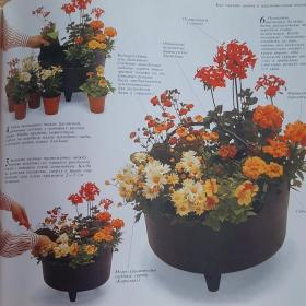 Книга "Цветы в Вашем саду" Сью Филлипс 2000г