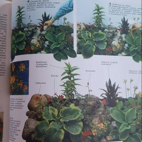 Книга "Цветы в Вашем саду" Сью Филлипс 2000г