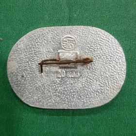 Значок Фурнье 1911 г Коллеция Политехнич. Музея. Автомобили