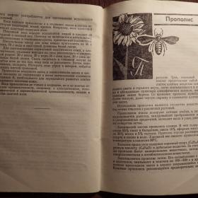 Книга. К. Кузьмина "Лечение пчелиным медом и ядом". 1973 год