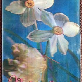 Стерео-открытка "Поздравляю". Нарциссы, гвоздики. 1981 год