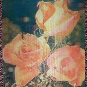 Стерео-открытка "С праздником". Розы. 1980 год