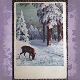 Антикварная открытка "Зимой в лесу"