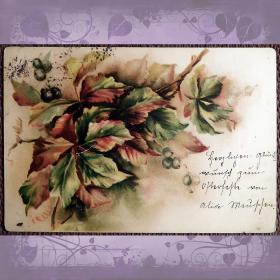 Антикварная открытка "Виноград"