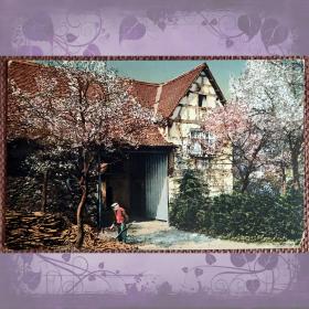 Антикварная открытка "В саду. Рубка дров"