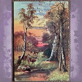 Антикварная открытка "Олени в лесу". Ее Превосходительству от барона