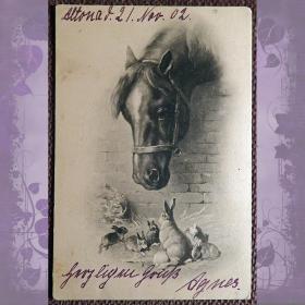 Антикварная открытка "Лошадь и зайцы (кролики)"