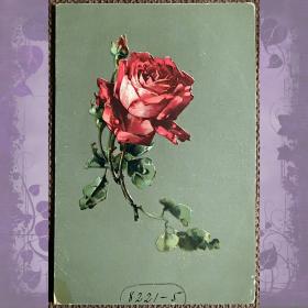 Антикварная открытка "Красная роза"