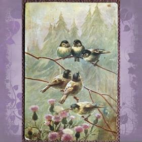 Антикварная открытка "Стайка птиц"