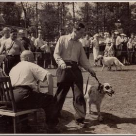 Фото СССР XXV Юбилейная Московская выставка охоты и охотничьего собаководства 1950 г.