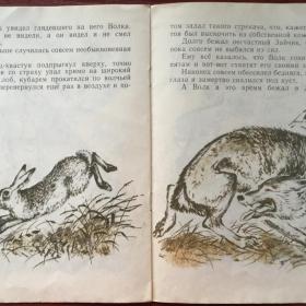 Книга "Сказка про храброго зайца" Мамин-Сибиряк Д. 1976