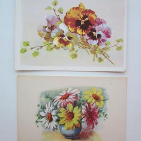 1957г. Открытка Цветы