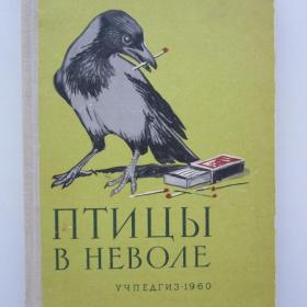 1960г. К. Благосклонов "Птицы в неволе" (25)
