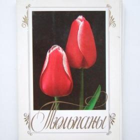 1986г. Набор открыток Тюльпаны